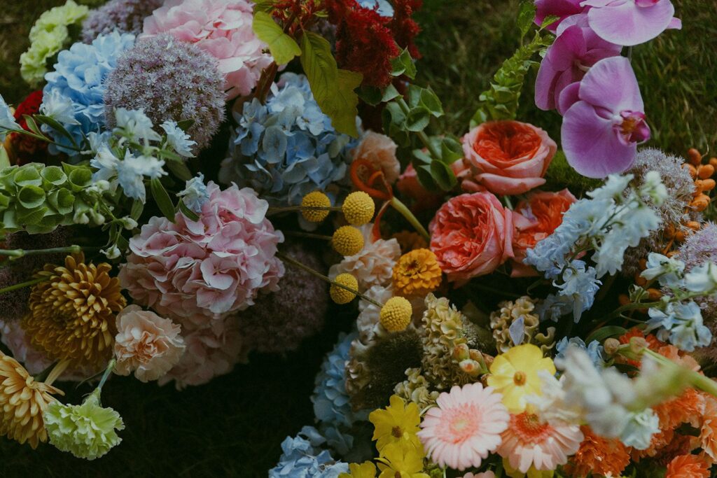 Vibrant rainbow flowers including hydrangeas, billy balls, orchids, roses, ranunculus, brain celosia, and more.