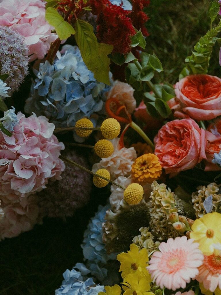 Vibrant rainbow flowers including hydrangeas, billy balls, orchids, roses, ranunculus, brain celosia, and more.
